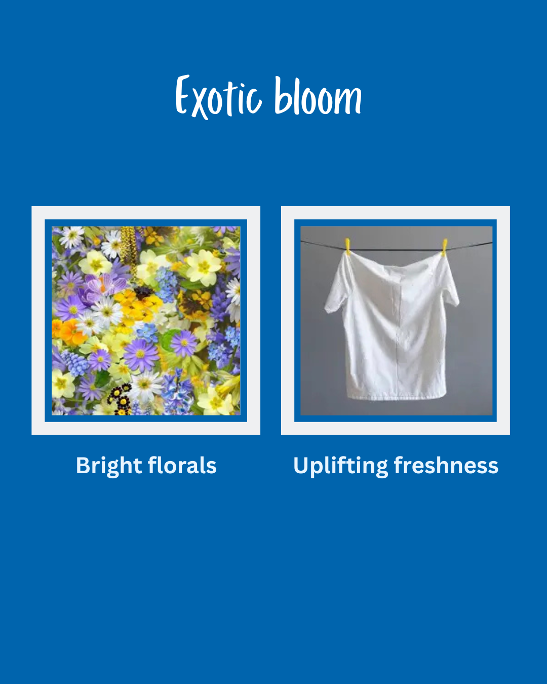 Exotic bloom snap bar