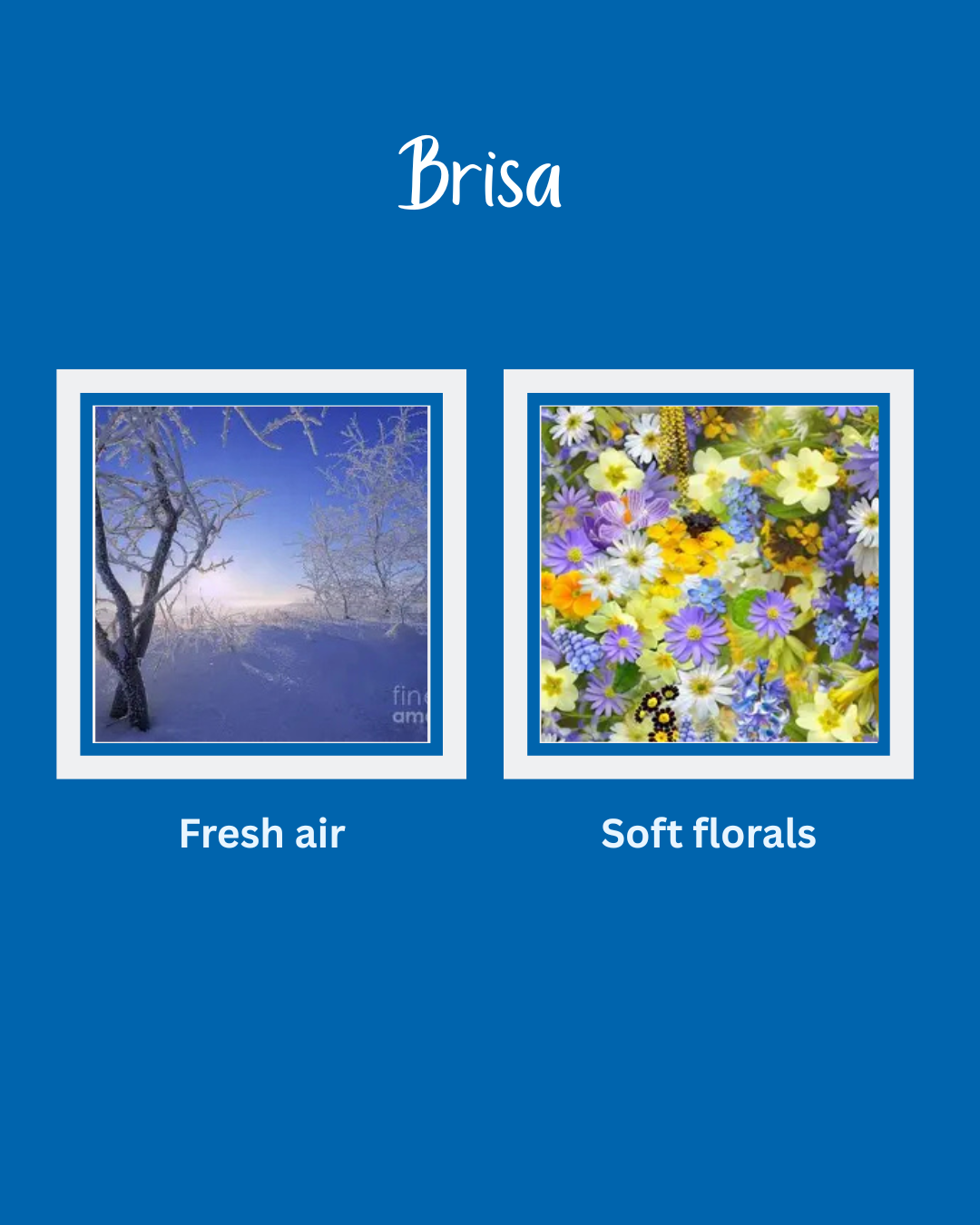 Brisa snap bar