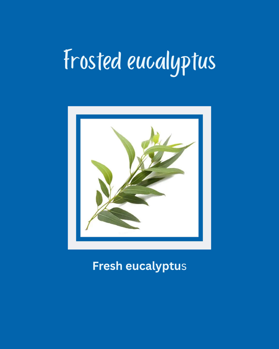 Frosted eucalyptus snap bar