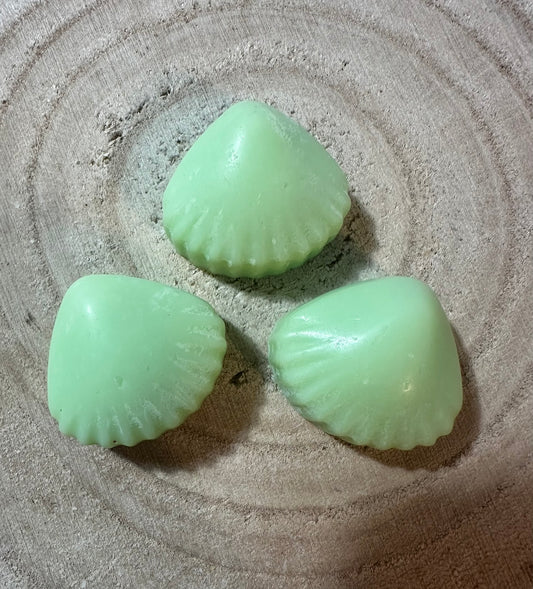 Mint chocolate £1 melts