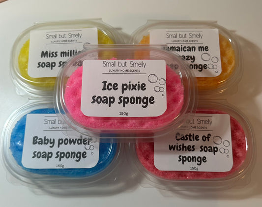 Soap sponges